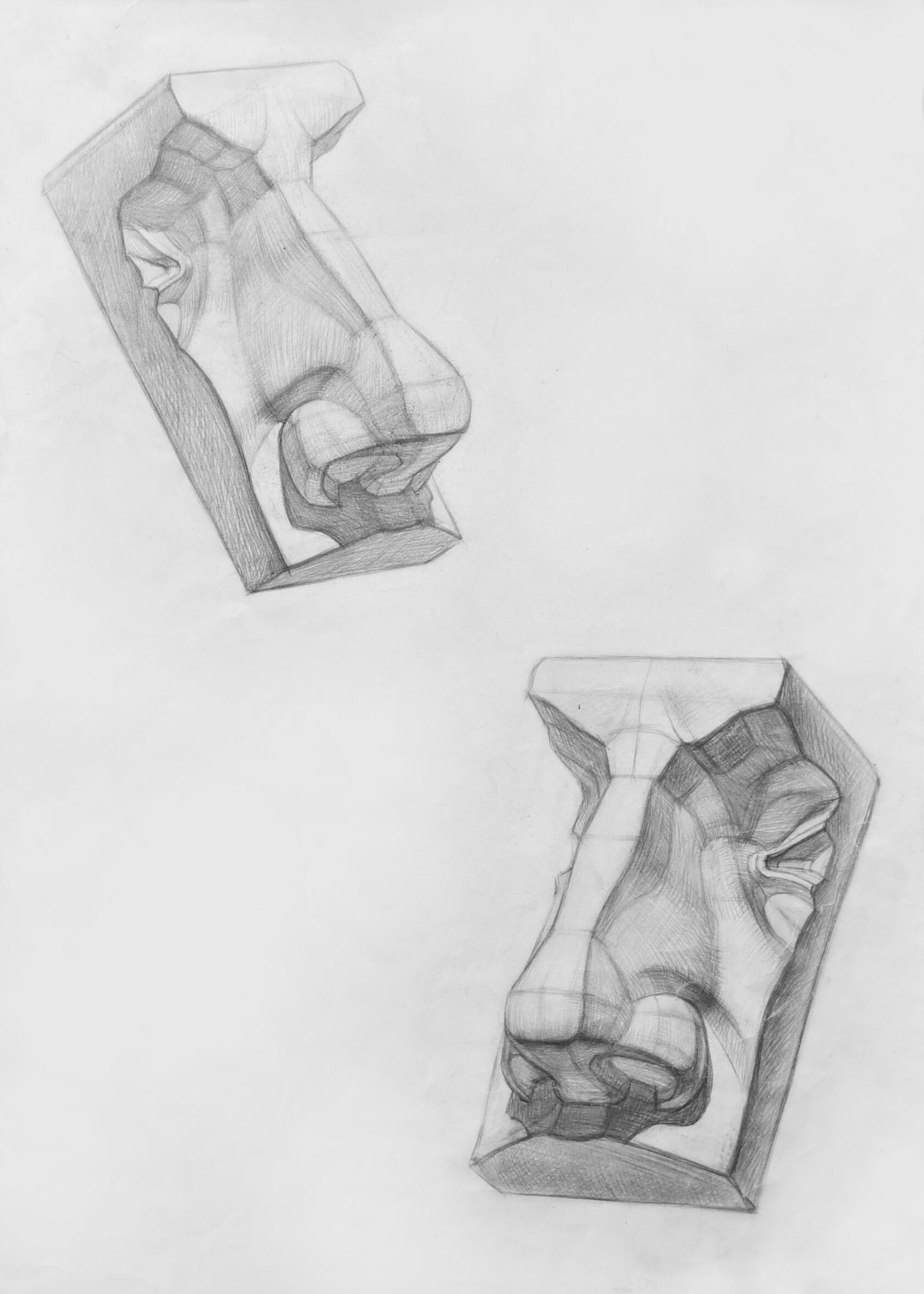 Рисунок носа в двух положениях