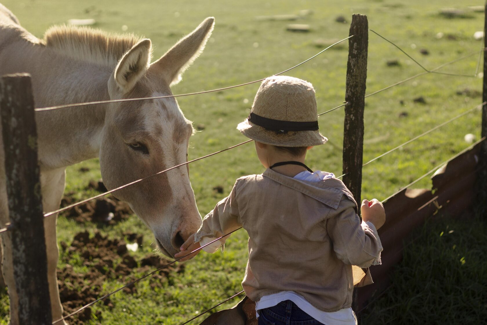 Лицензия на деятельность зоопарка