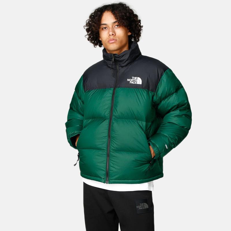 the north face mint jacket