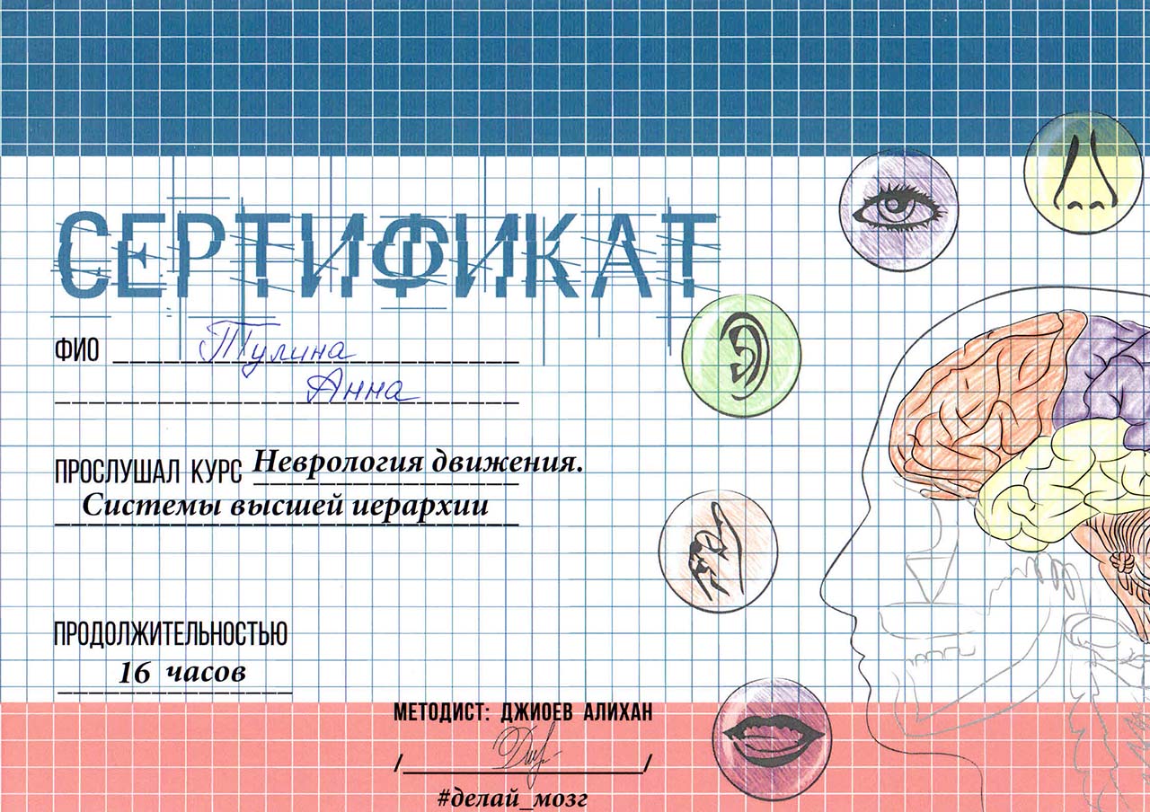 Сертификат курса "Неврология движения. Системы высшей иерархии"