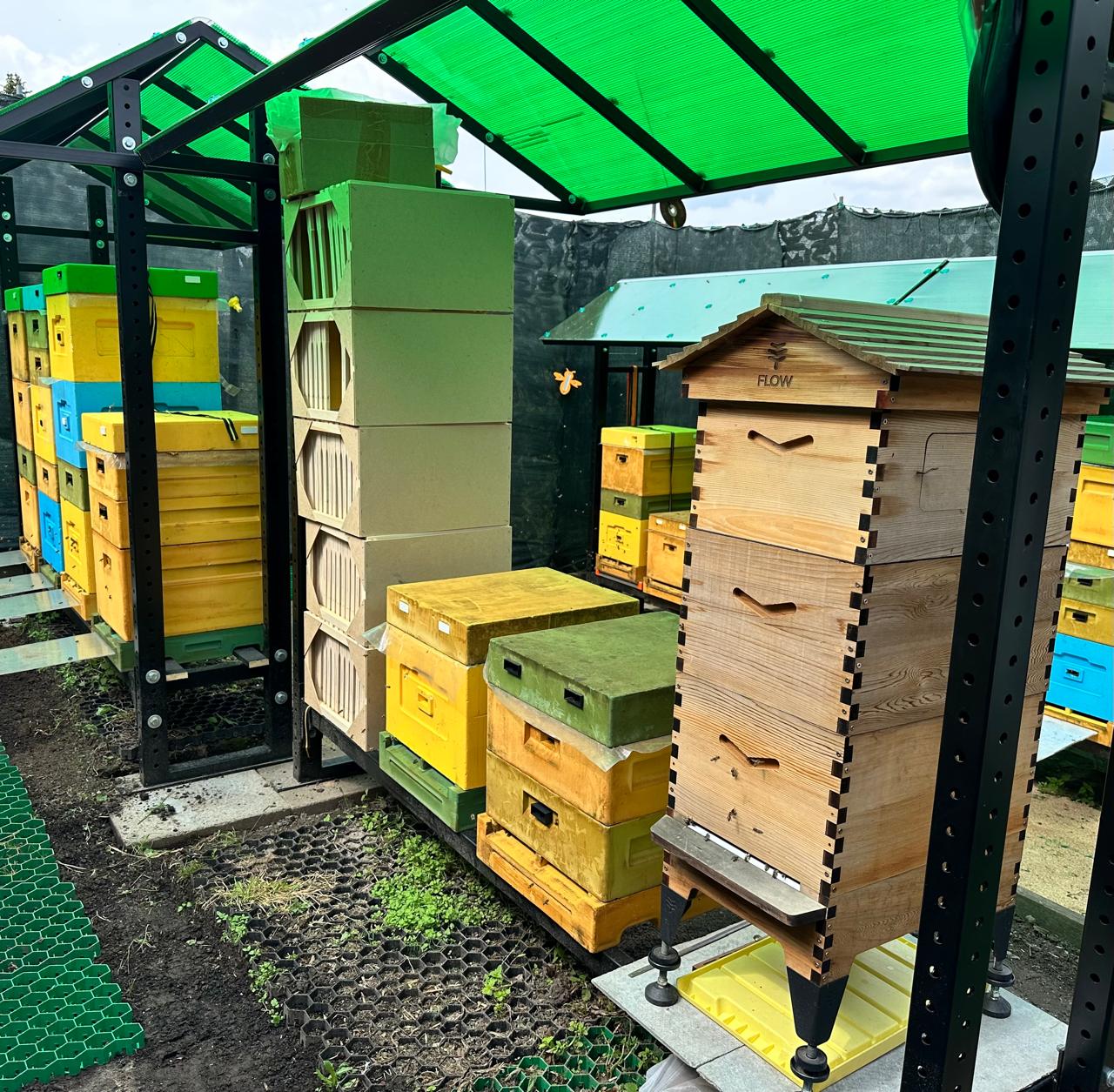 апипульс, цифровой улей, цифровая пасека, умный улей, датчик роения, сигнализатор роения, пасечные весы, весы пчеловода