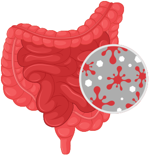 Защита слизистой оболочки кишечника