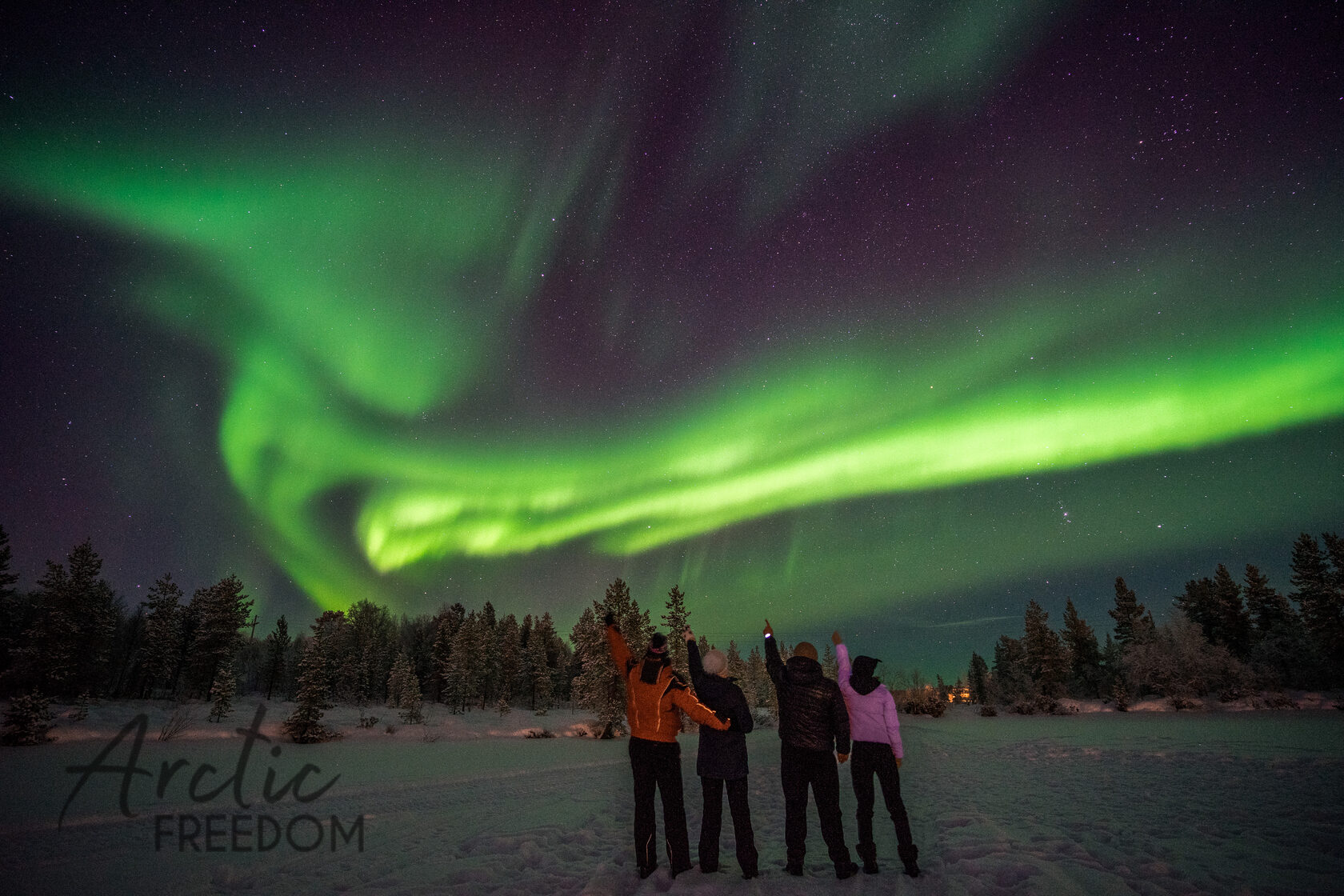 Туры на Северное сияние в Мурманске по привлекательной цене | Arctic-Freedom