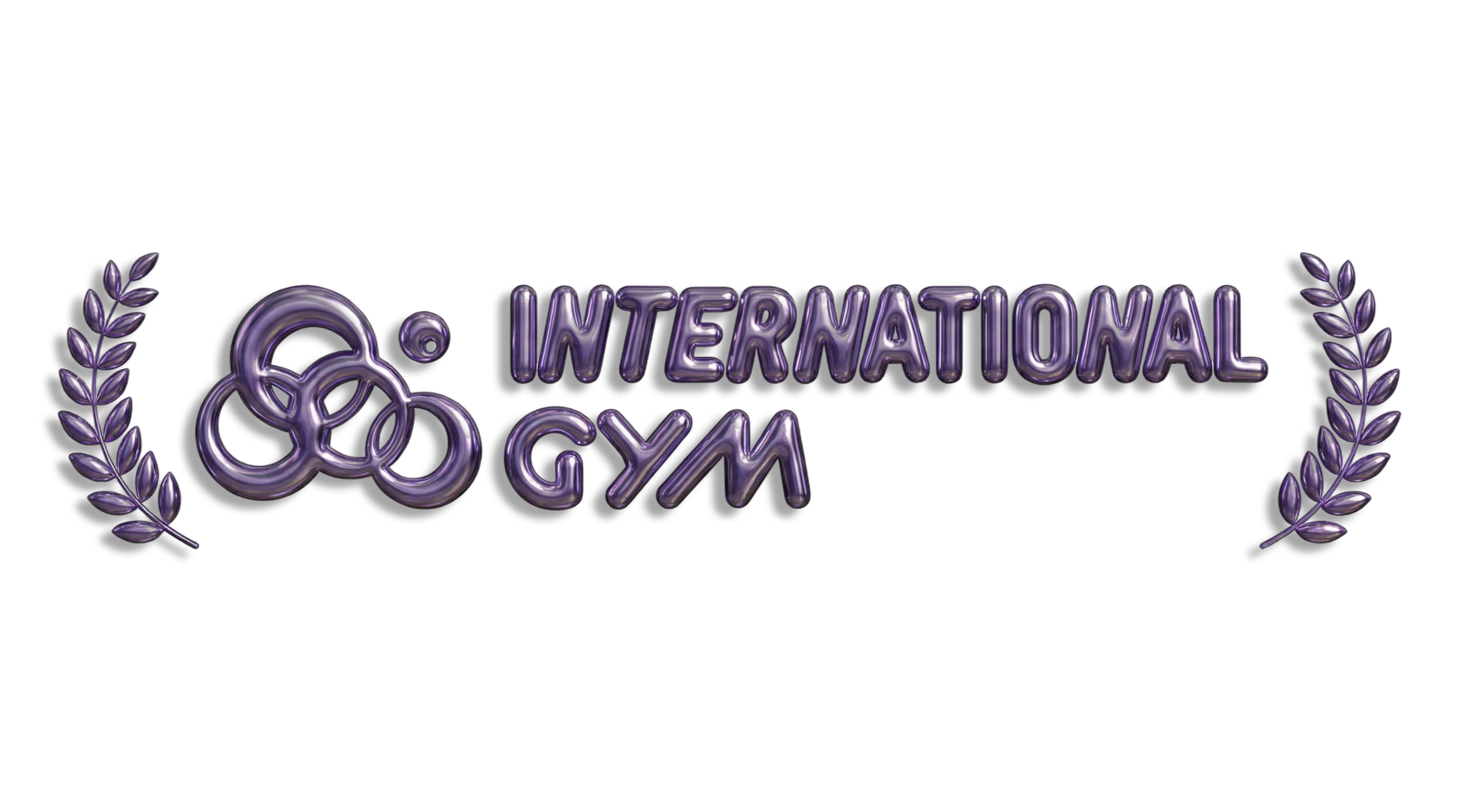 International Gym international-gym