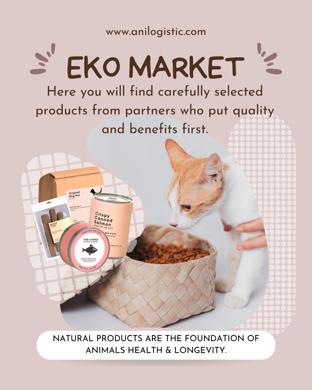 A bowl filled with natural dry pet food made from real meat, surrounded by fresh ingredients like salmon, chicken, vegetables, and herbs — symbolizing healthy nutrition for dogs and cats.