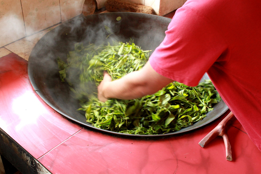 Обжаривание вручную свежих чайных листов для производства Пуэра