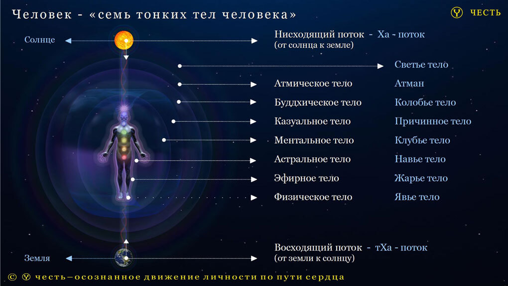 Как выглядит тонкий план