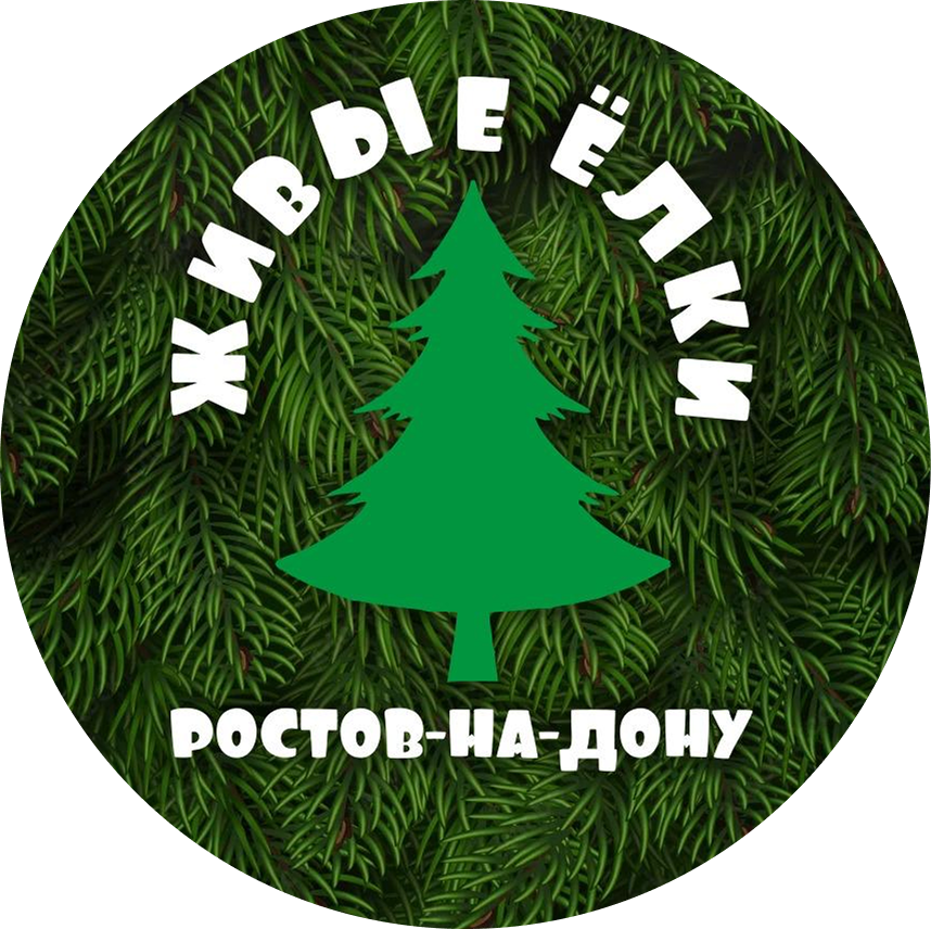 Купить живые елки