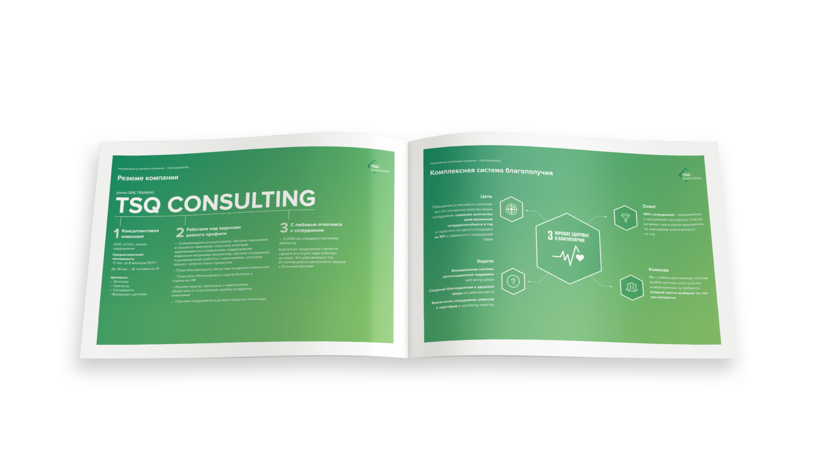 Tsq consulting. Tsq consulting