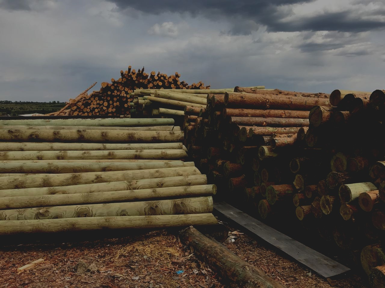 опора деревянная пропитанная 9,5 м. опора пропитанная деревянная 11. опора деревянная пропитанная 9,5 м. деревянная опора вл. опора деревянная пропитанная l=8,5 м.