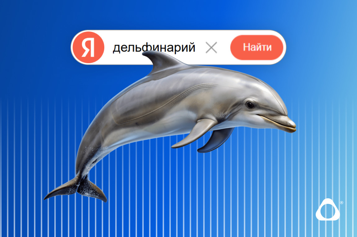 SEO-продвижение дельфинария: как увеличить продажи билетов из поиска — опыт Большого Сочинского Дельфинария