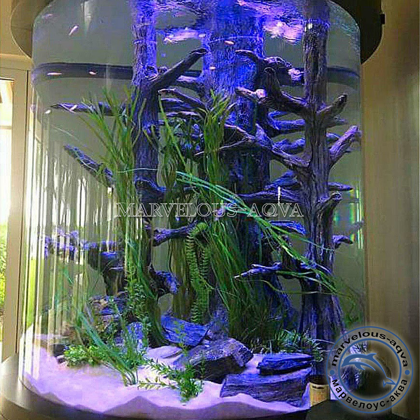 Какой Аквариум Купить Для Дома