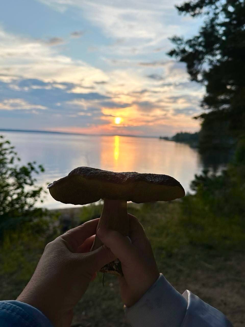 Селигер Глэмпинг «УРА» | Глэмпинг на озере Волго