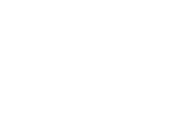 TOP TRAVEL