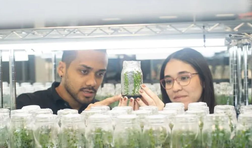 EAFIT es una de las 10 mejores universidades del país y la primera privada de Antioquia, según QS Latam 2026