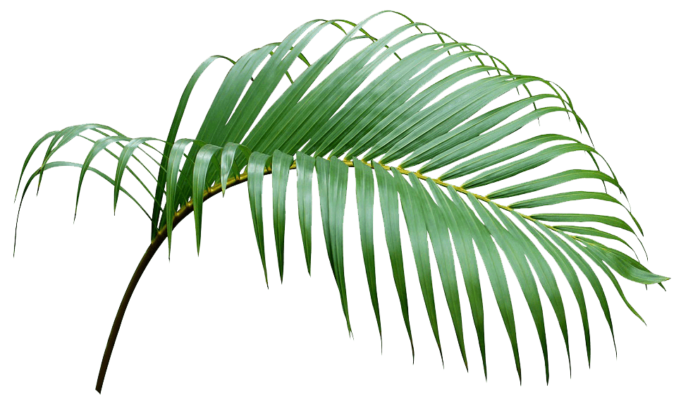 Отдых снять номер в Стрелковом