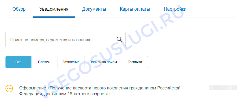 Как записаться в мфц на получение загранпаспорта нового образца