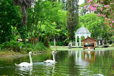 сколько стоит экскурсия из сочи в абхазию. Bellatour.ru