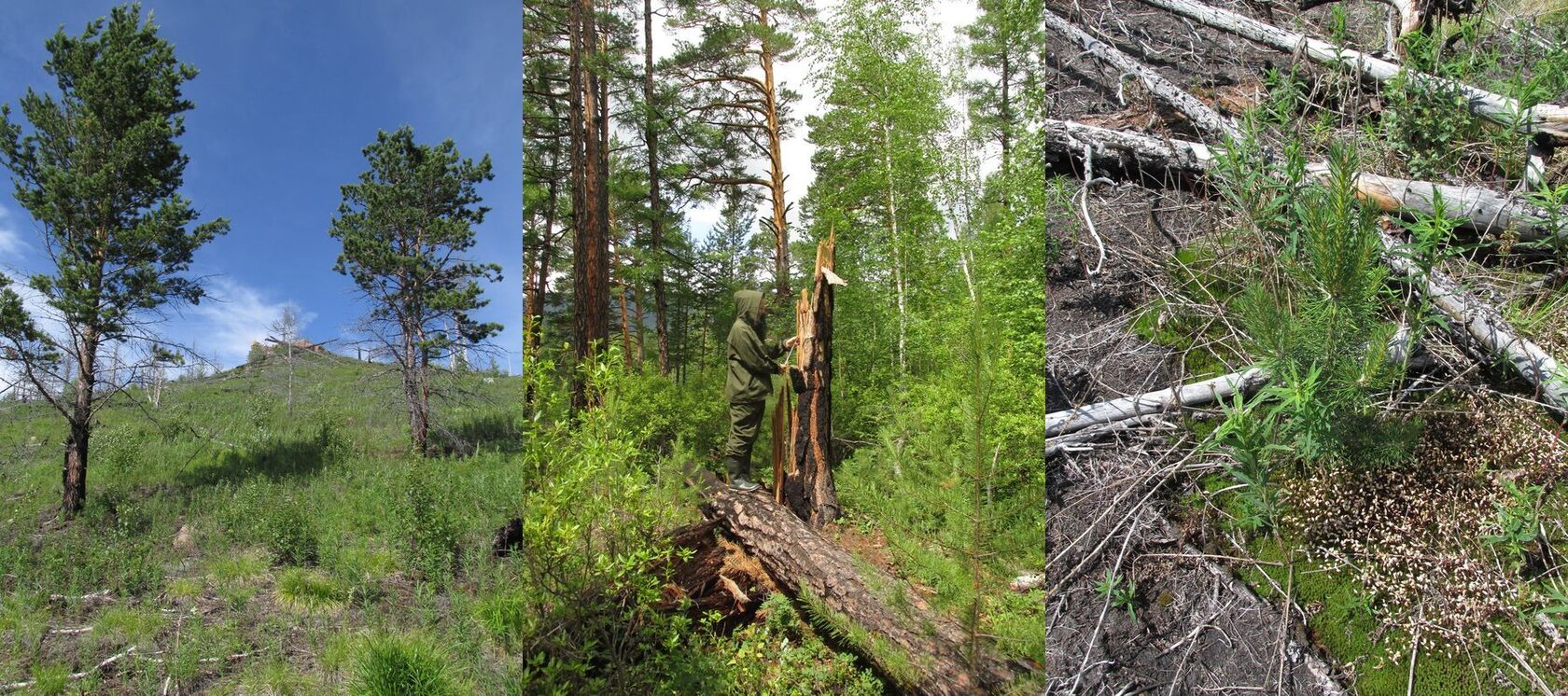 Байкальский заповедник
