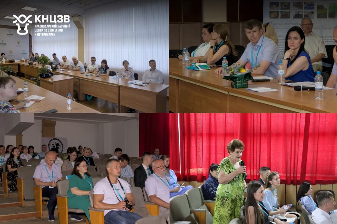 Краснодарский научный центр по зоотехнии и ветеринарии, ФГБНУ КНЦЗВ, конференция