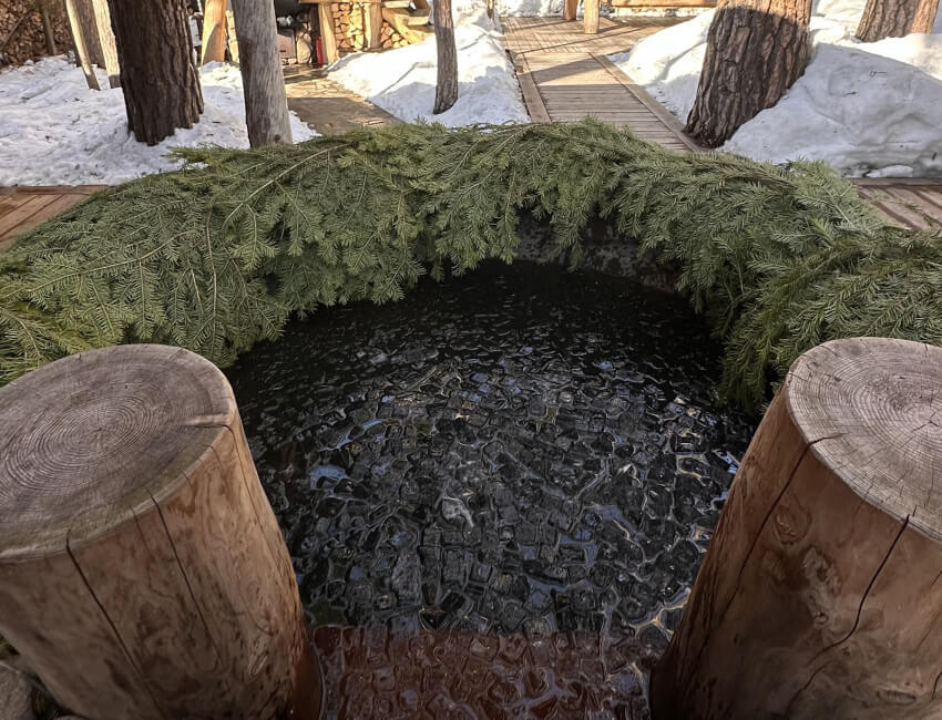 Рождество купель Московская область