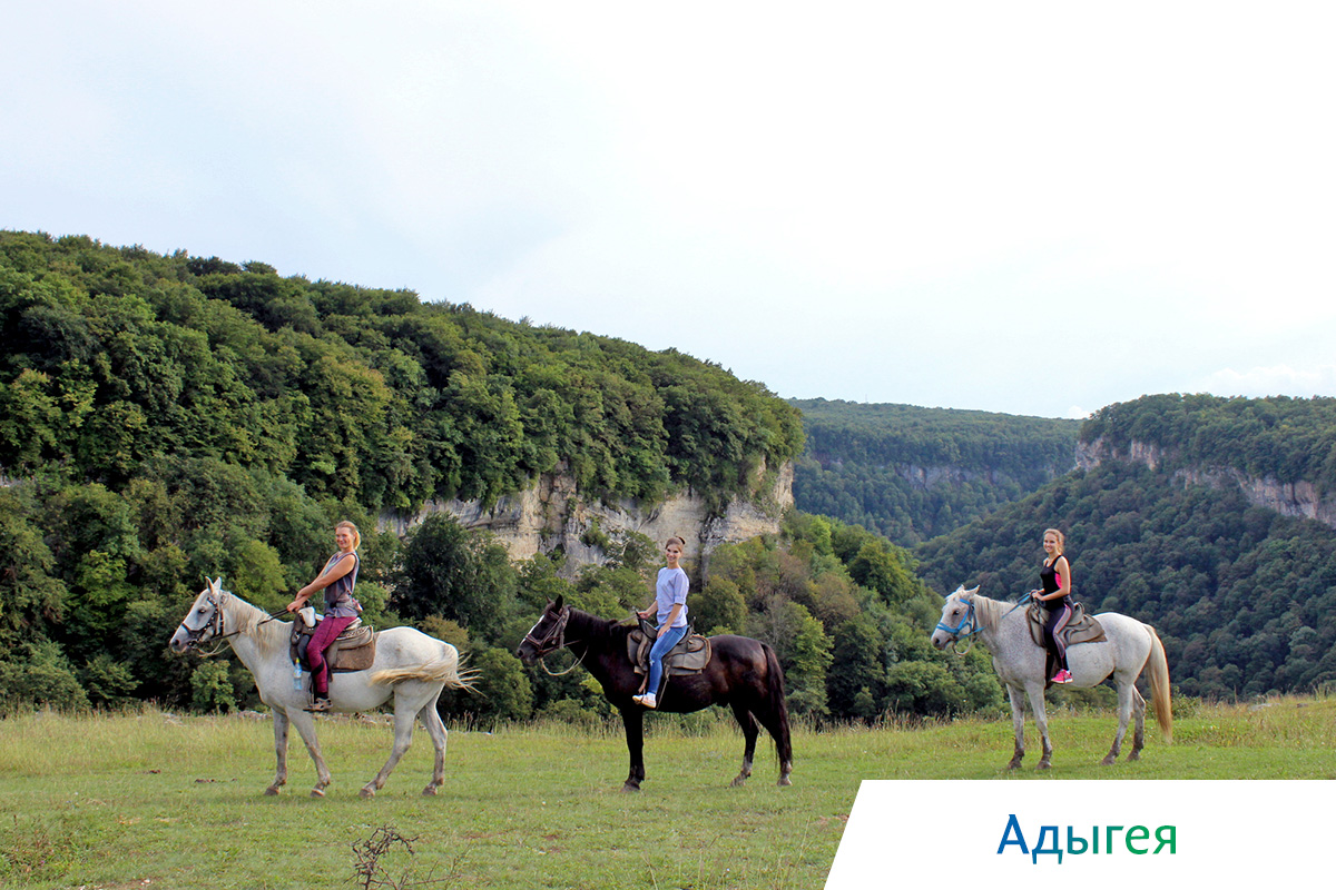 Русская Арктика