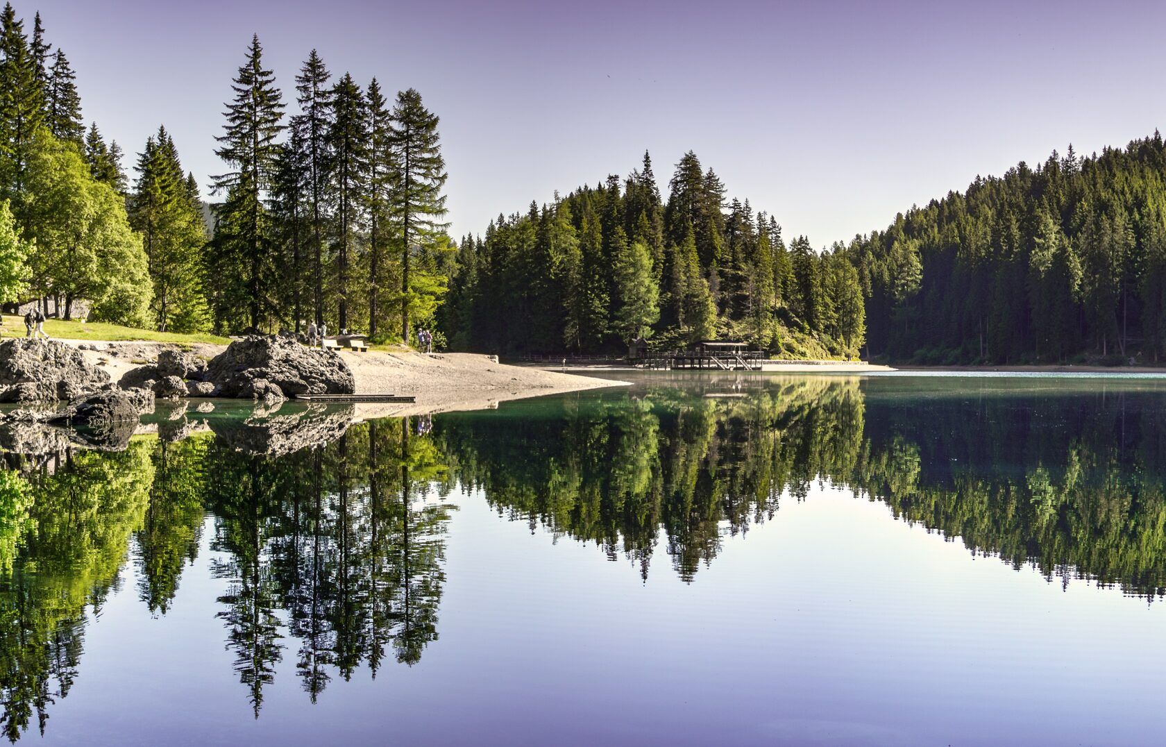 База отдыха Green Forest Ecoclub | В окружении живописного леса на берегу  великой русской реки Волги