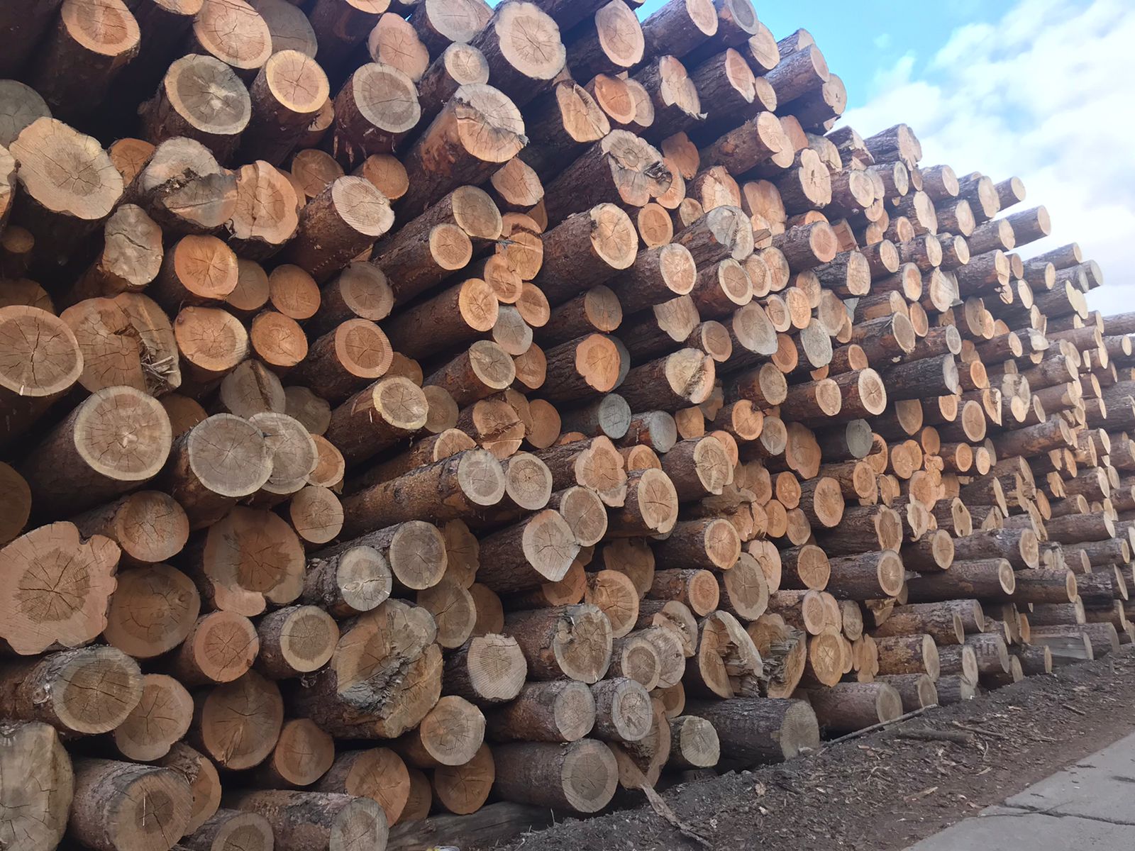 круглые лесоматериалы