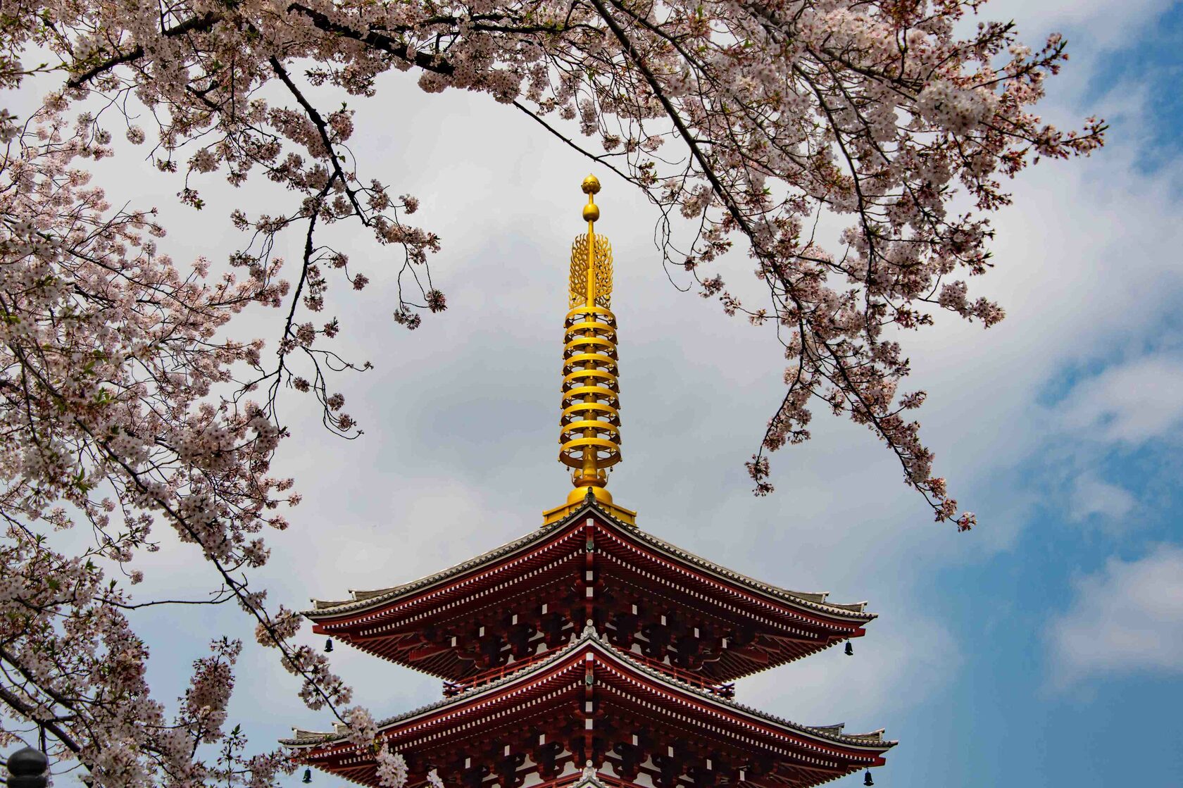 japan religion, religion in japan, japanese religion, fastest growing religion in japan