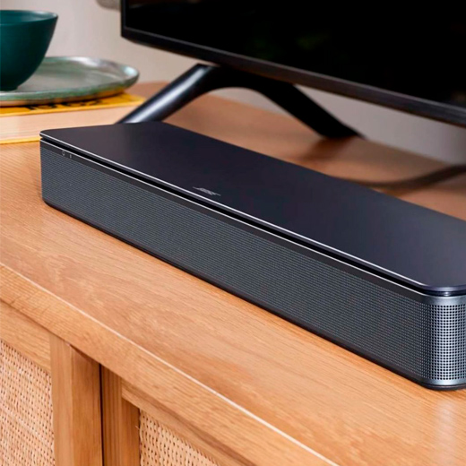 Bose TV Speaker