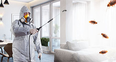 Обработка от тараканов санэпидемстанцией Казани