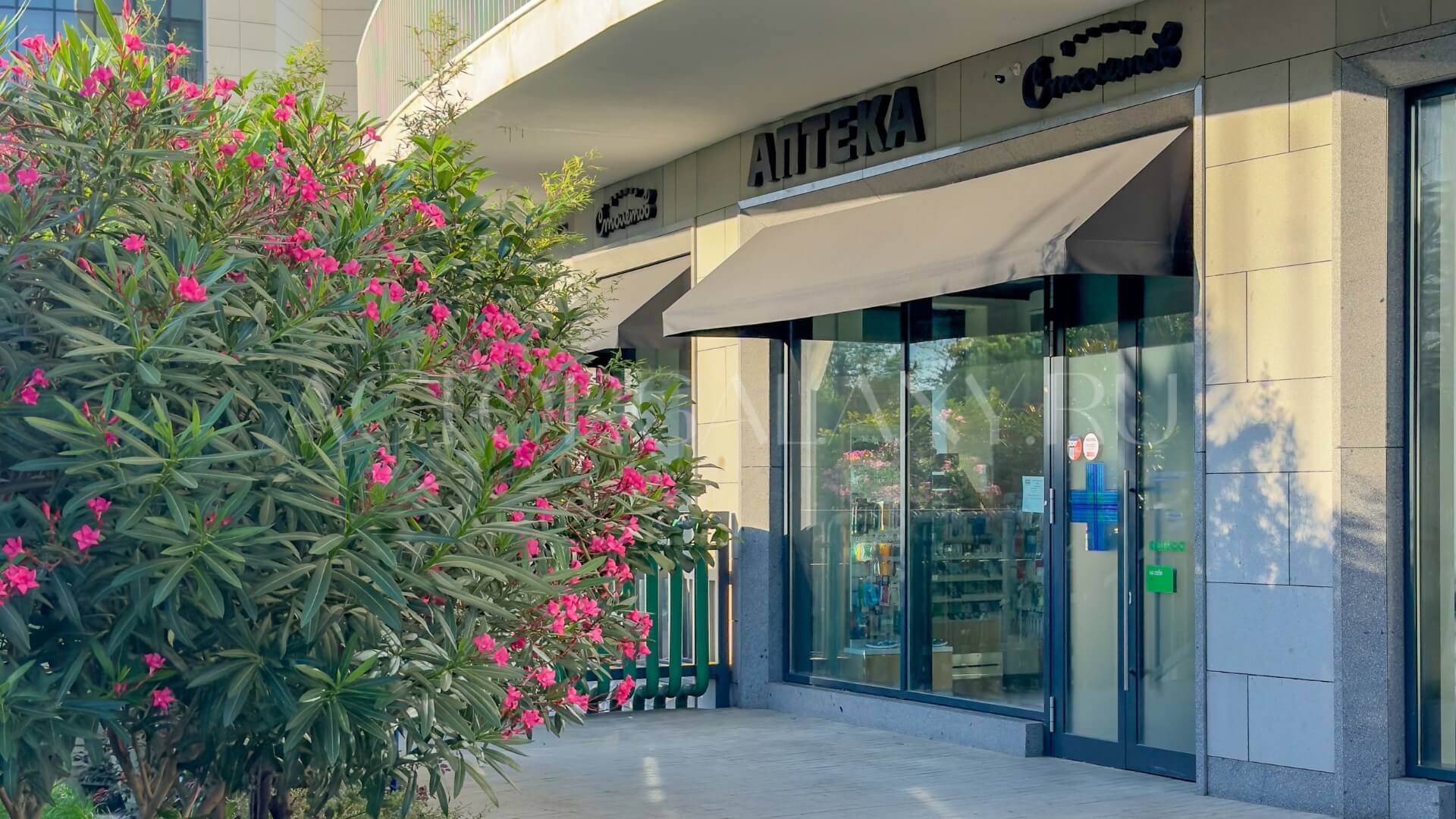 Аптека Доктор Столетов в ЖК актер Гэлакси среди цветов