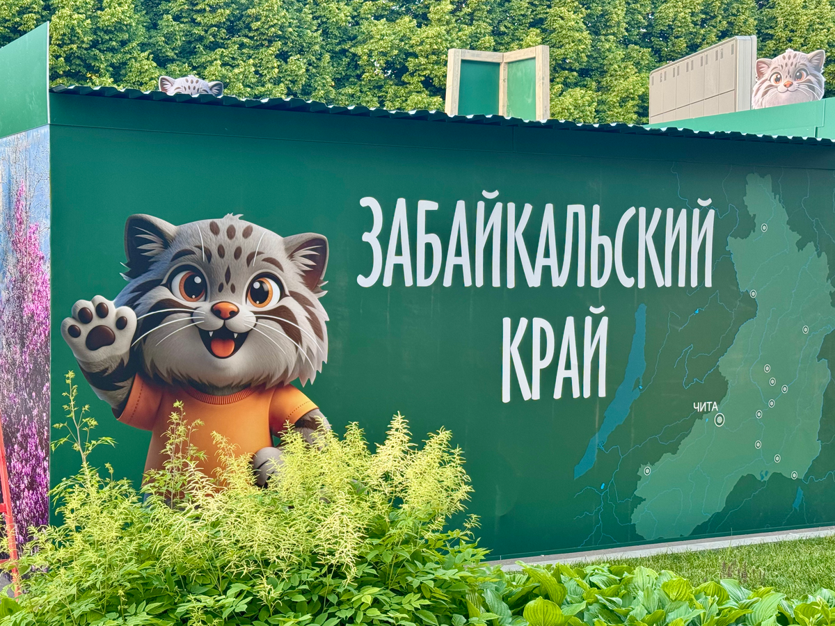 Программа мероприятий фестиваля «Путешествуй!»