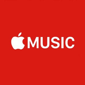 website icon