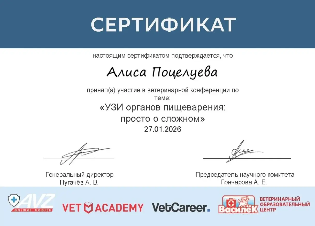 Сертификат по УЗИ Поцелуева А.А.