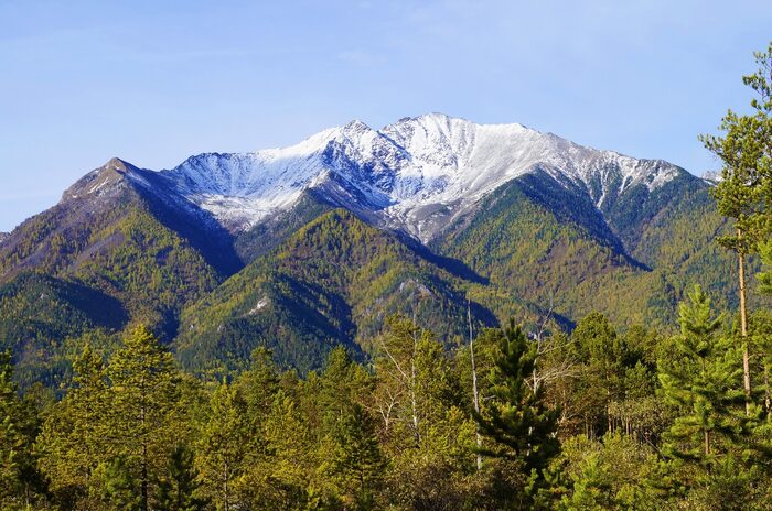 Аршан Священная роща