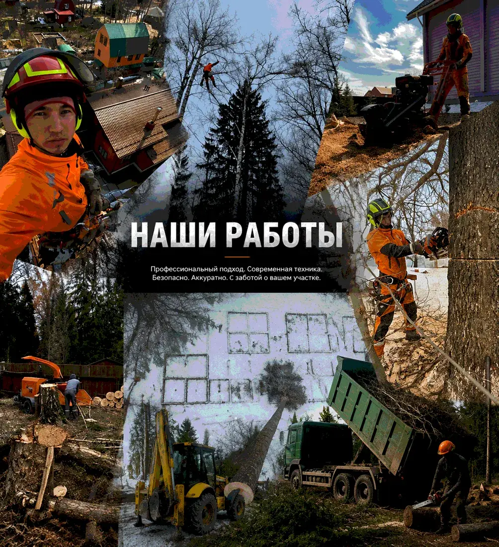 Реальные фотографии выполненных работ Спил Сервис