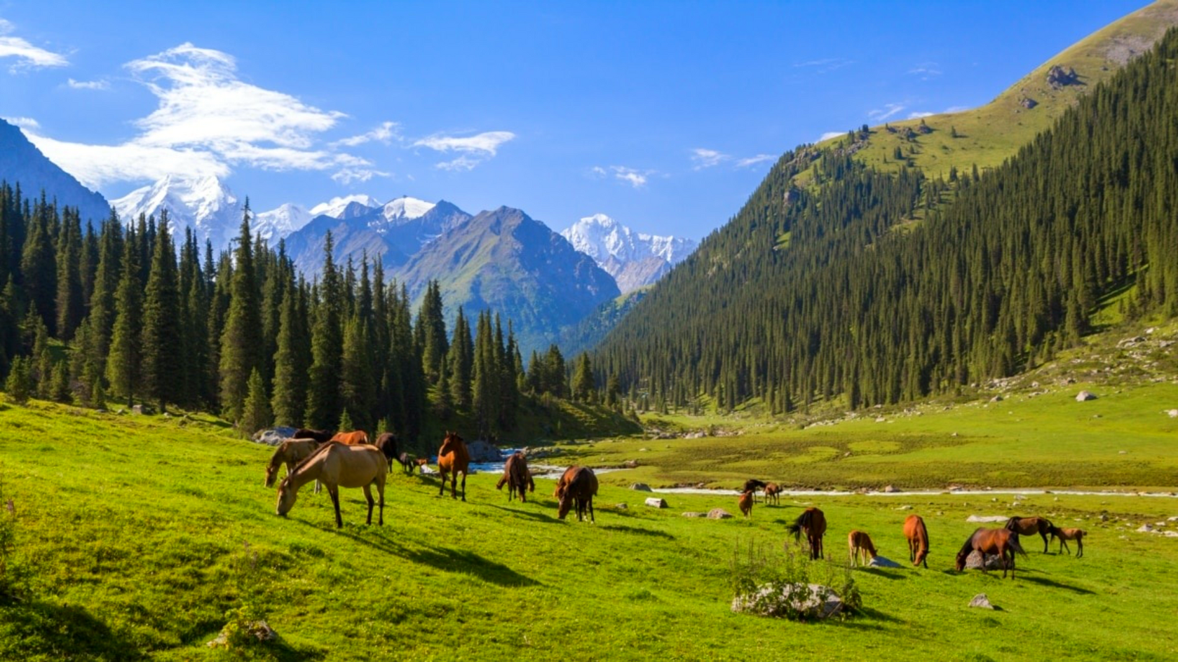 Kyrchyn Jailoo — the heart of nomadic culture