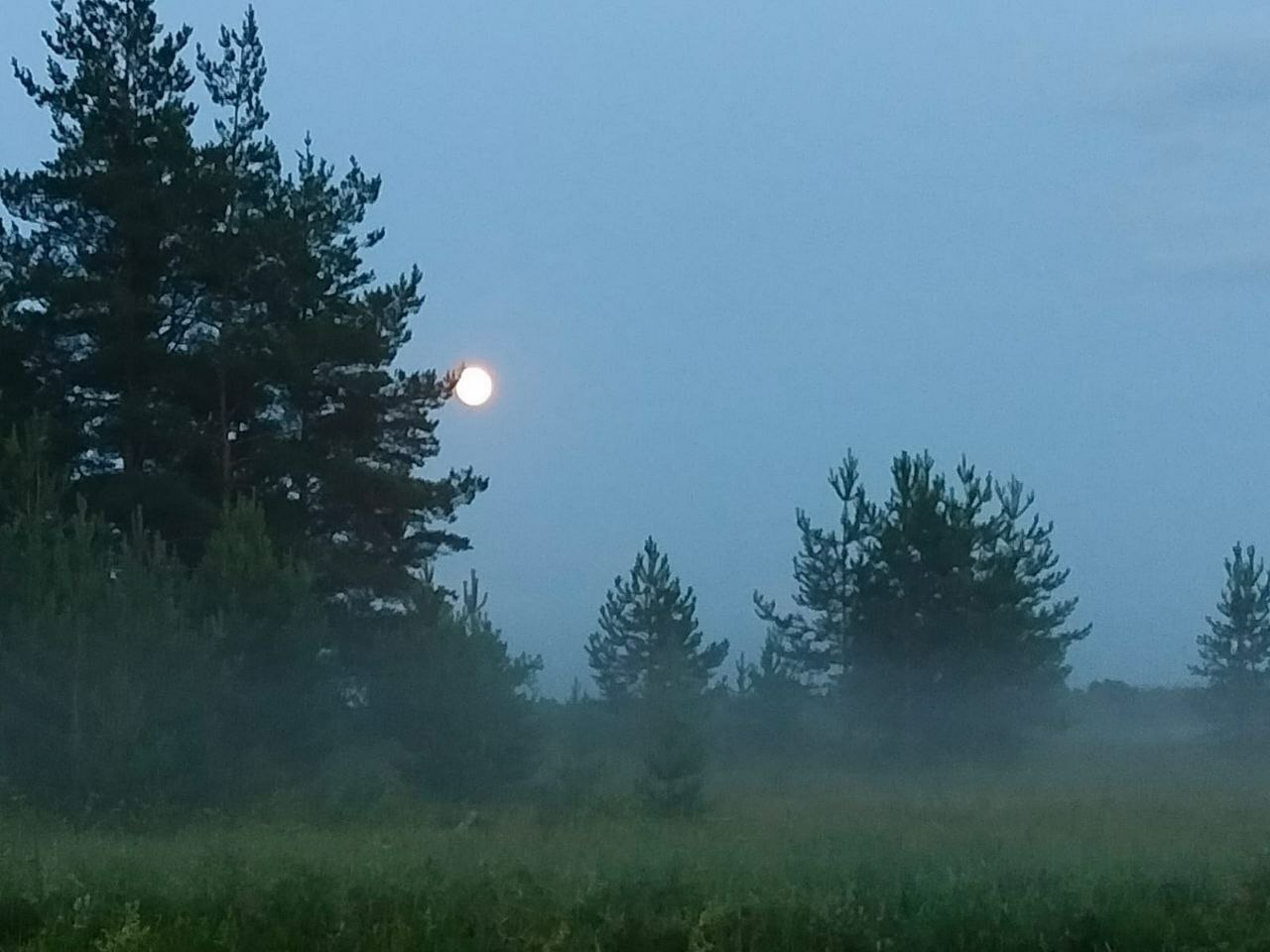 Сплав на байдарках КИРЖАЧ ВСЁ ВКЛЮЧЕНО