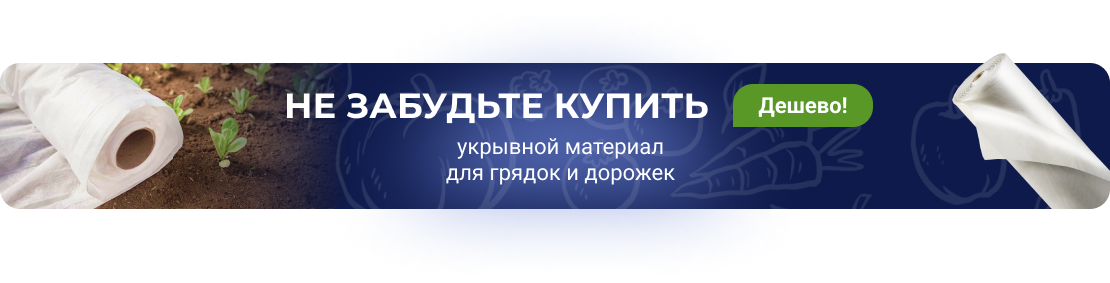 Полимерные и оцинкованные грядки из стали | Вечные грядки Московские