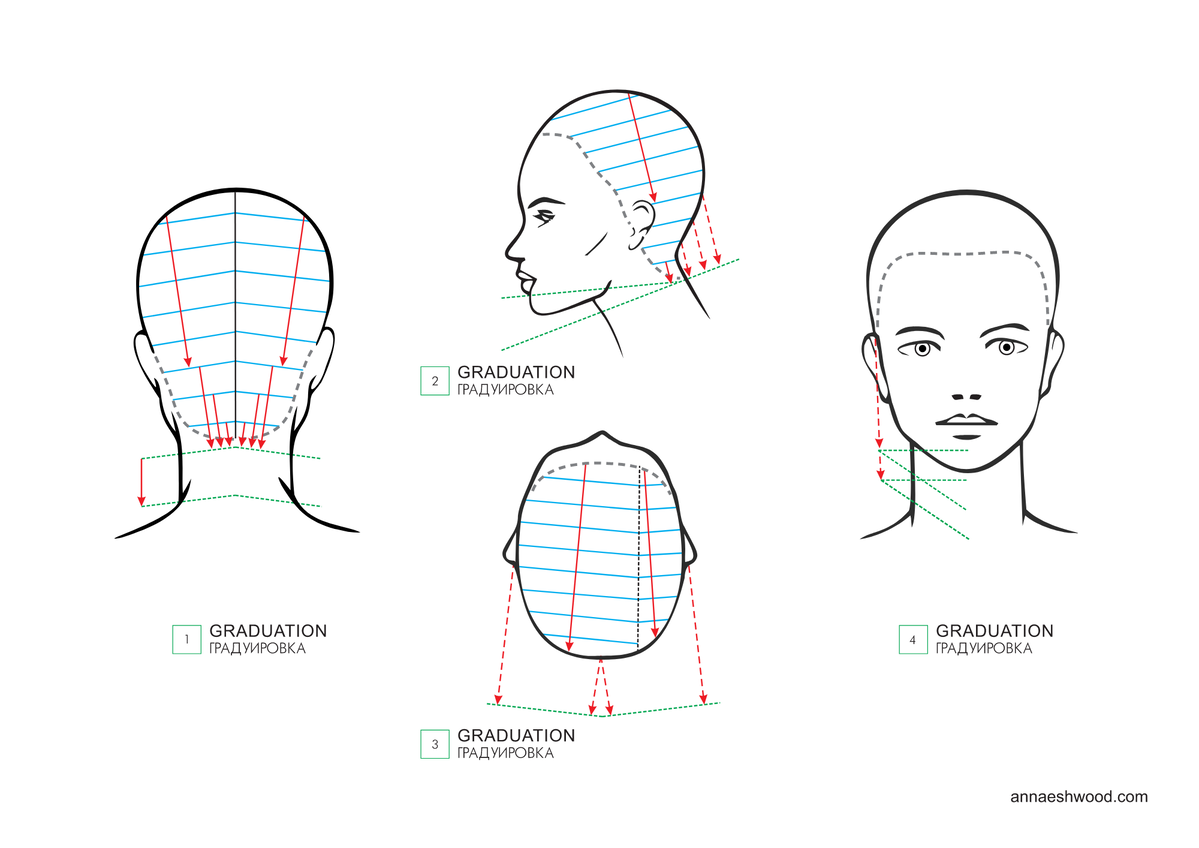 Градуировка схема. Проборы головы для парикмахеров схема. Пробор на голове. Треугольная градуировка.