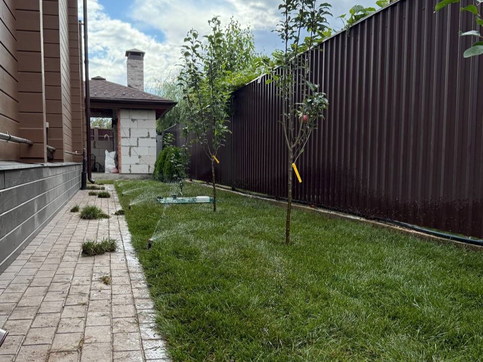 участок после укладки газона 