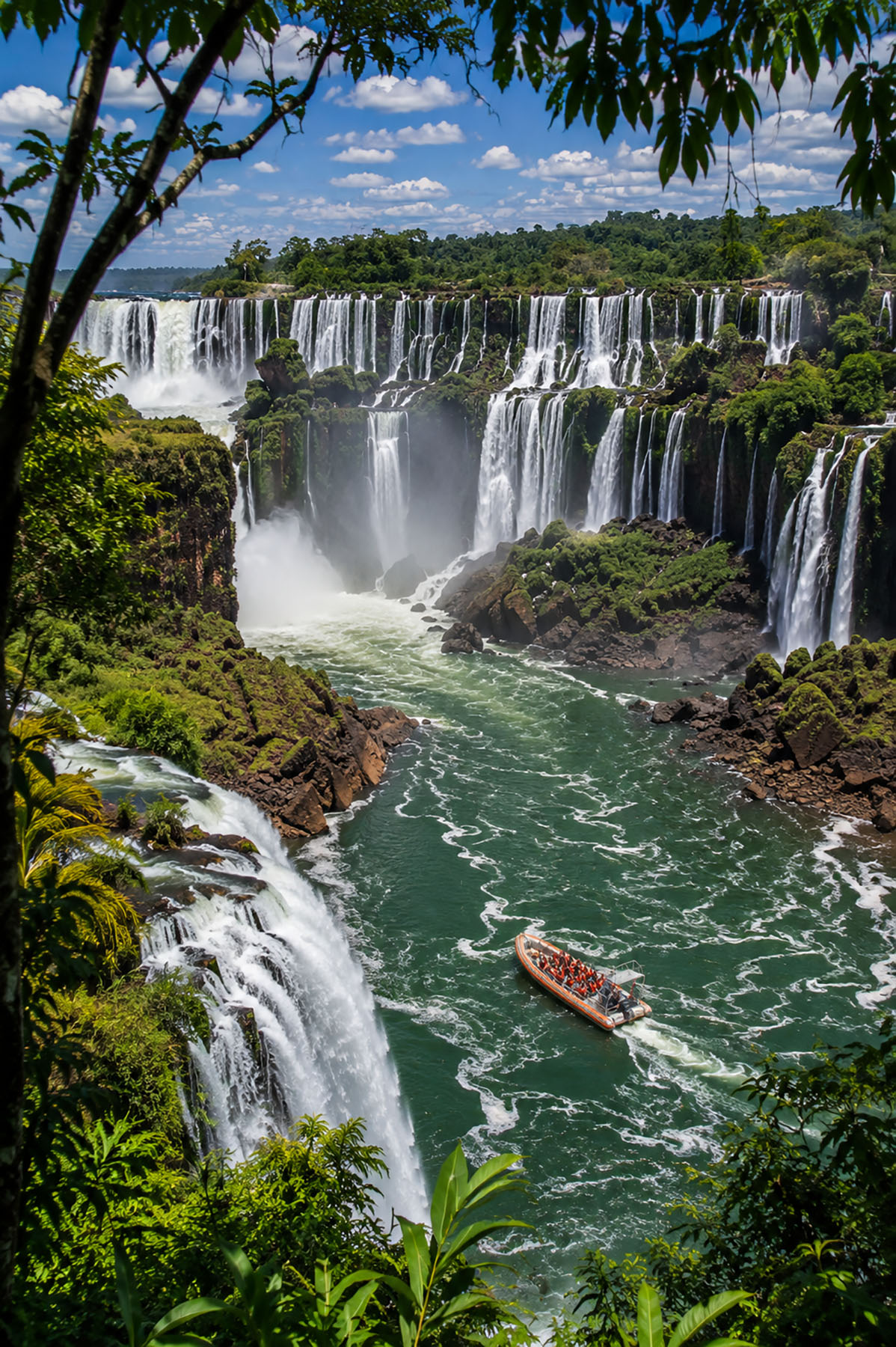 Iguazú Falls and the subtropical jungle