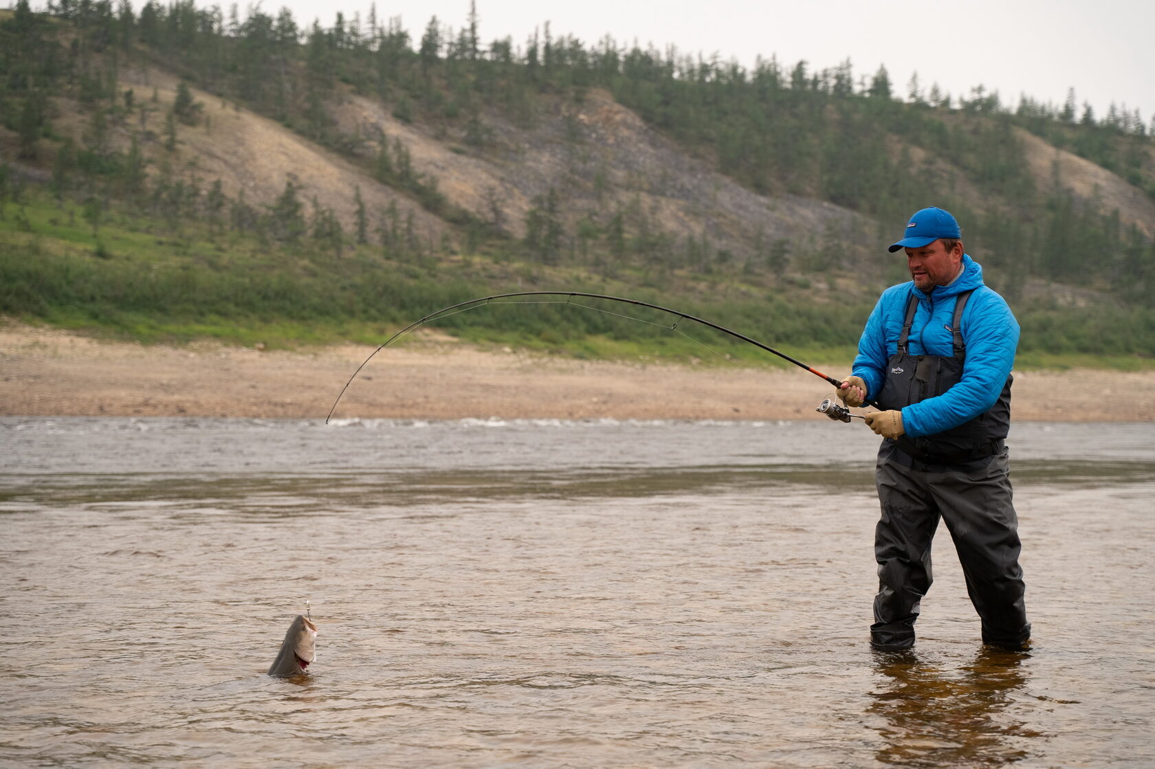 Отчеты о рыбалке 2024 года. Отчеты о рыбалке 2024 года. Отчеты о рыбалке 2024 года. Рыбалка в марте. Перемет на налима для рыбалки.