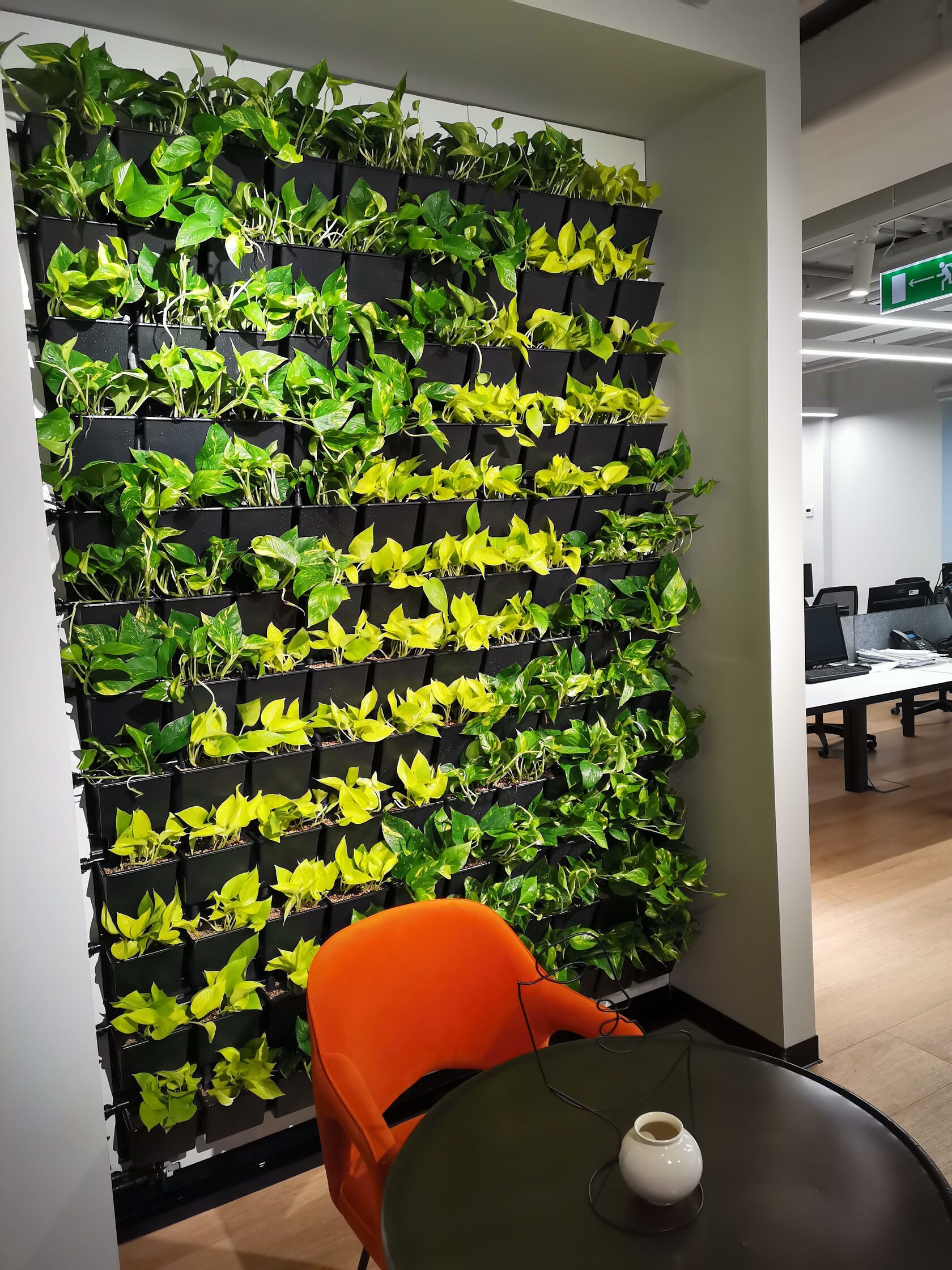 Кейс 01•Офис ГК ФСК