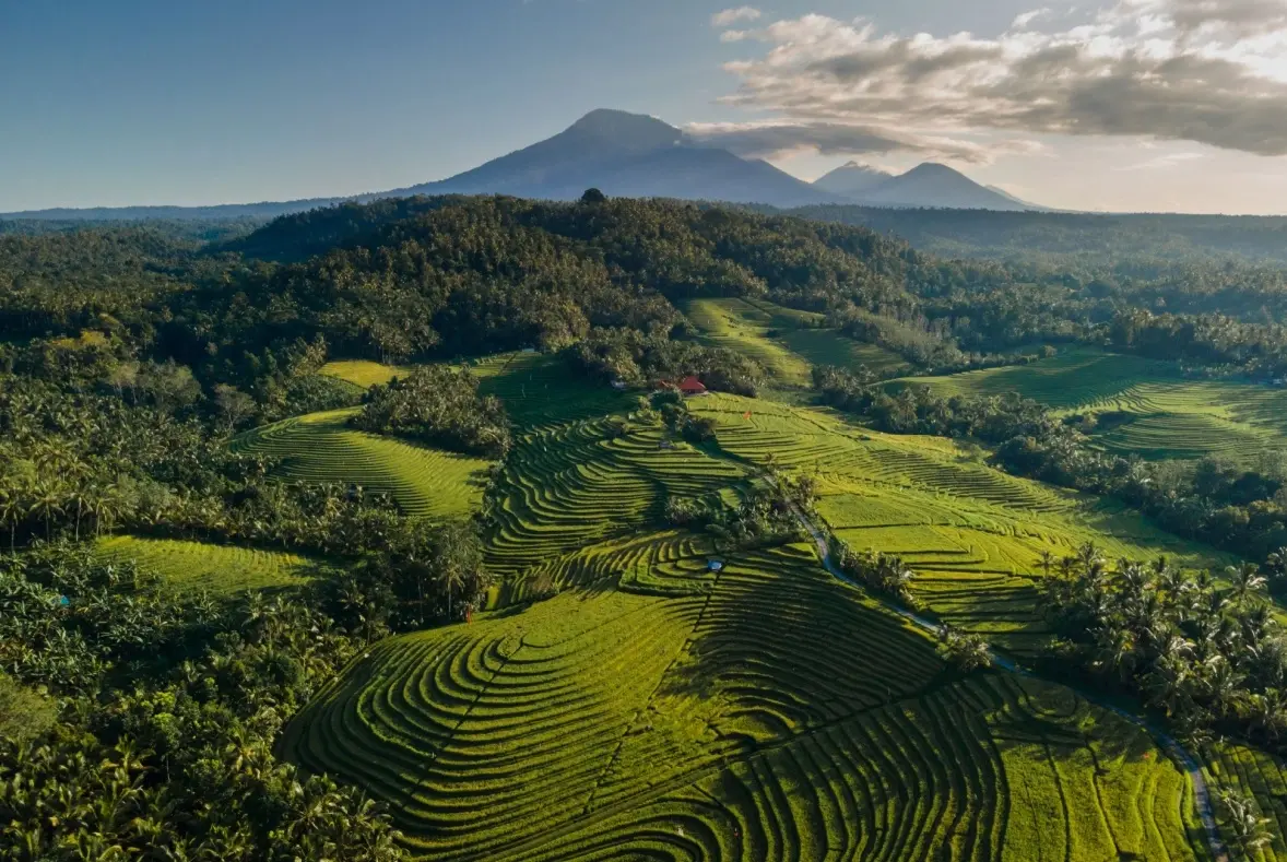 Breathtaking aerial view of vibrant green cascading rice terraces with majestic mountains in the background, capturing the ultimate Ubud getaway experience.