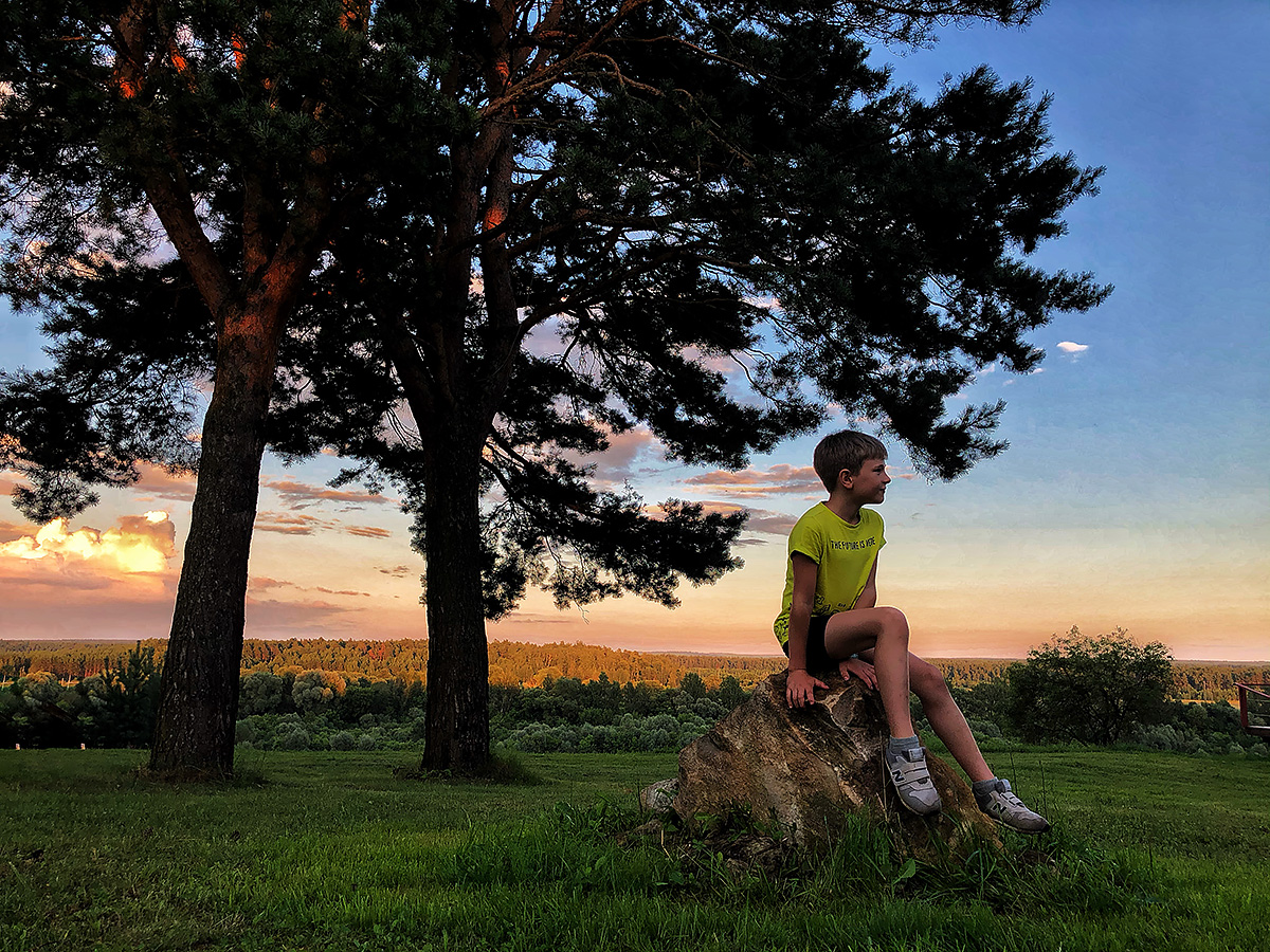 Ребенок сидит на камне под ветками Сосны на закате