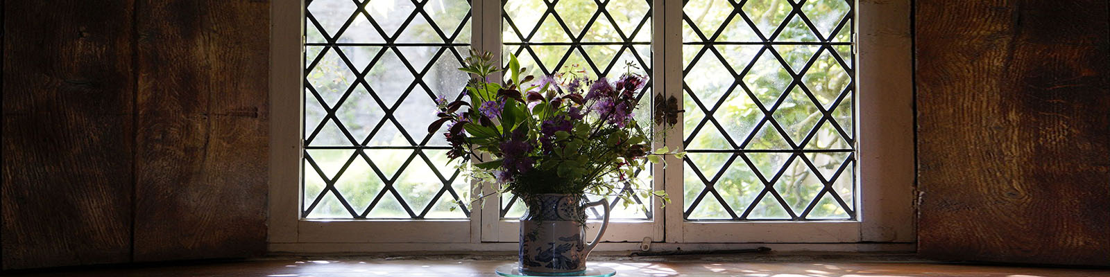 Логотип Uteka.ua