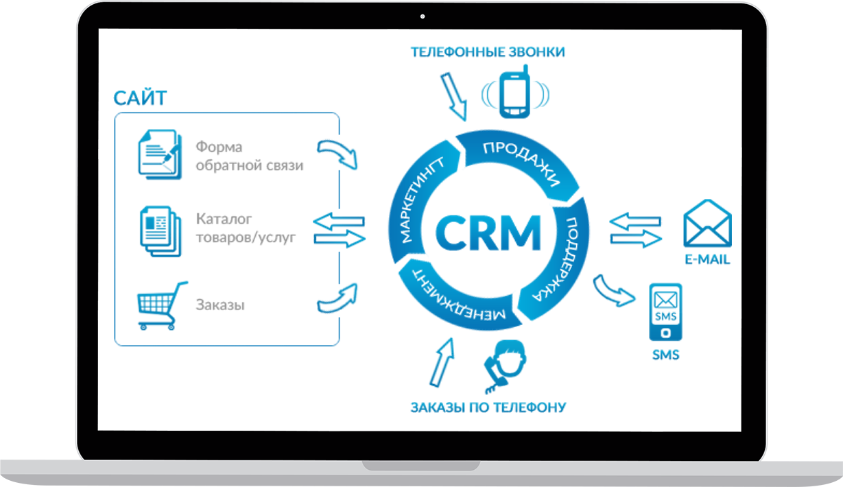 Crm amo презентация