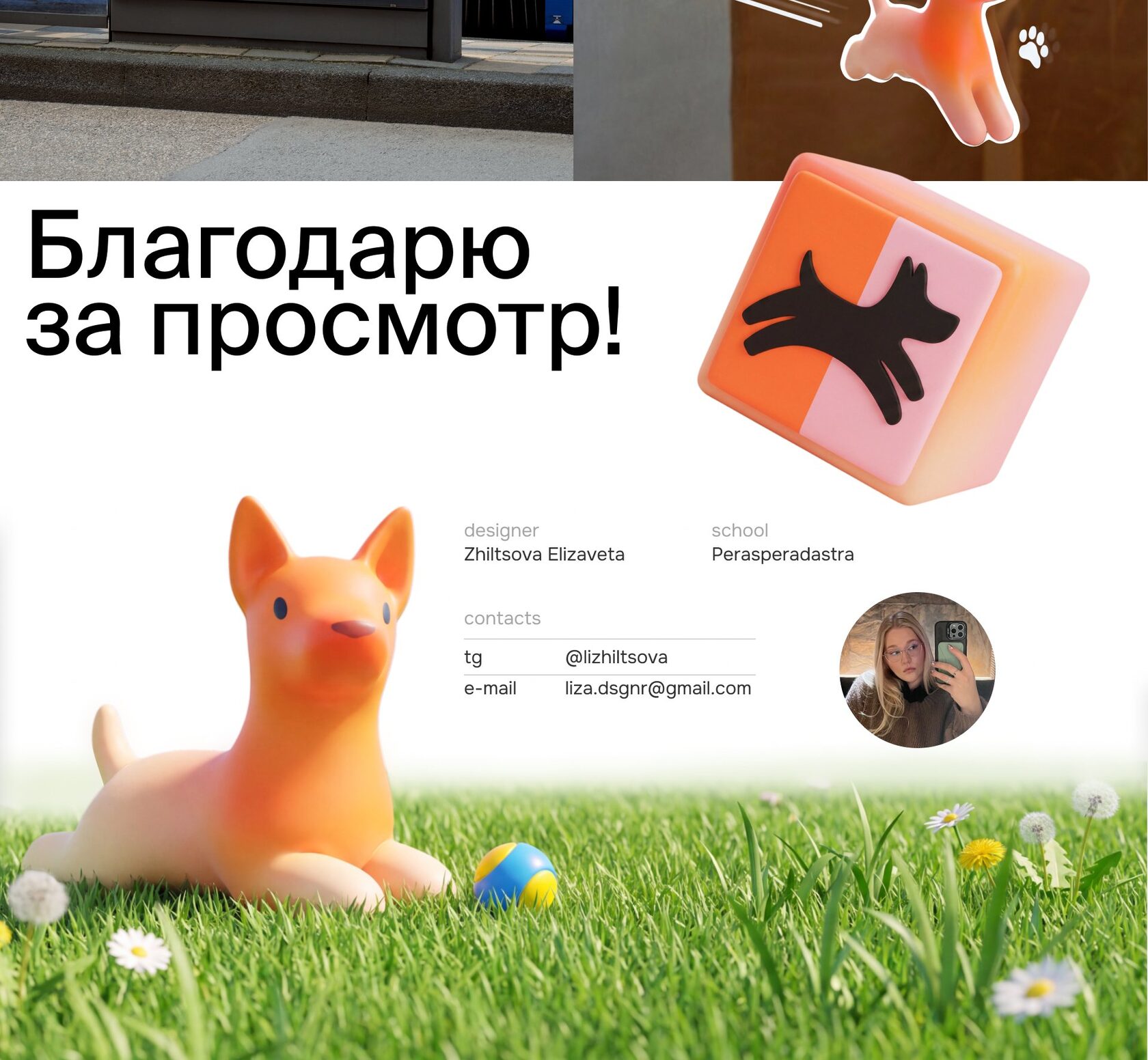 Лаппи — слайд 7